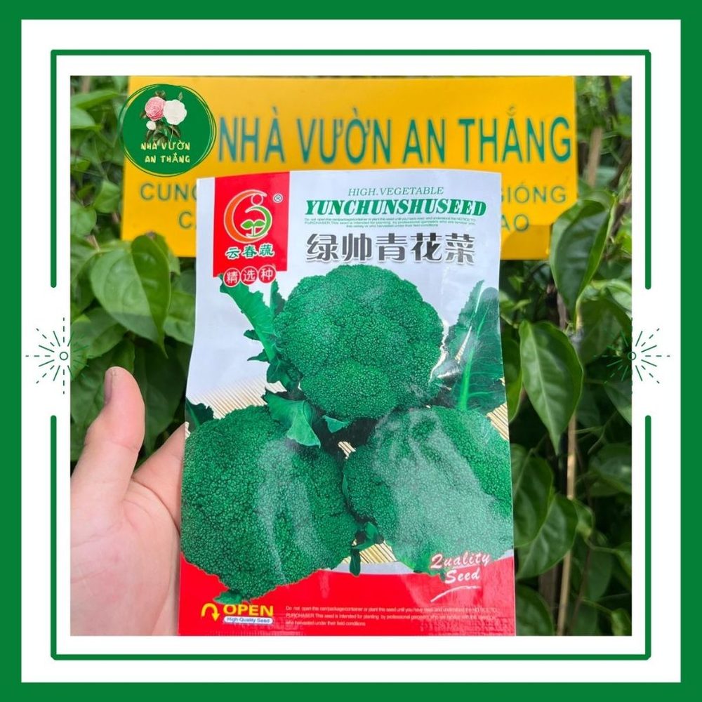 Bán hết Hạt giống súp lơ