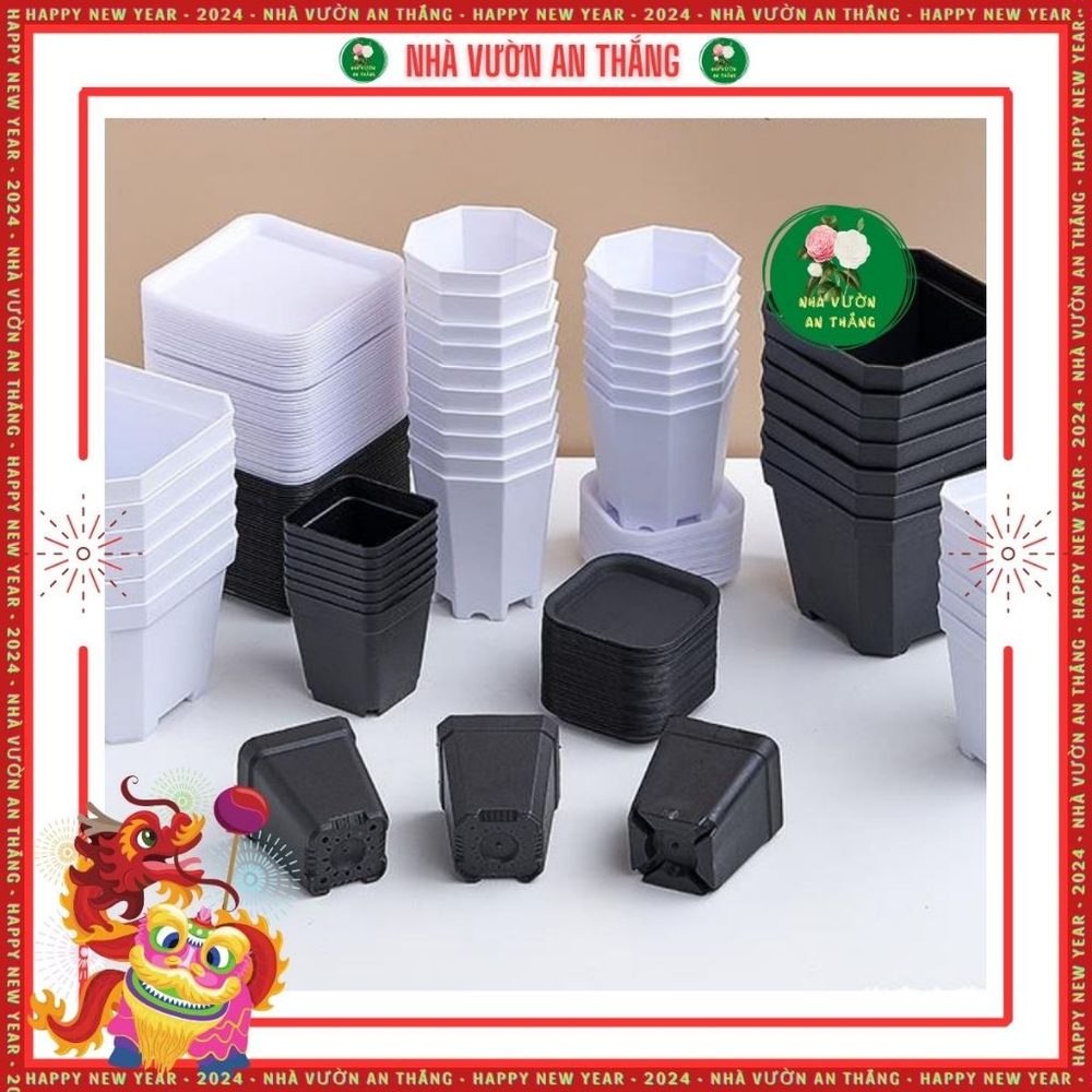 COMBO 5 chậu nhựa vuông ươm hạt